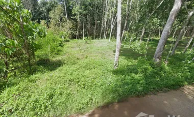 For sale land in Mueang Krabi, Krabi