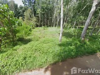 For sale land in Mueang Krabi, Krabi