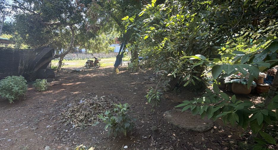 For sale land in Sam Roi Yot, Prachuap Khiri Khan