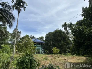 For sale land in Lang Suan, Chumphon