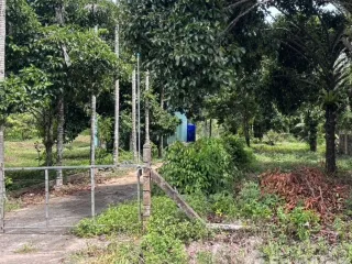 For sale land in Lang Suan, Chumphon