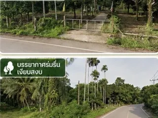 For sale land in Lang Suan, Chumphon