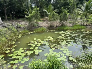 For sale land in Lang Suan, Chumphon