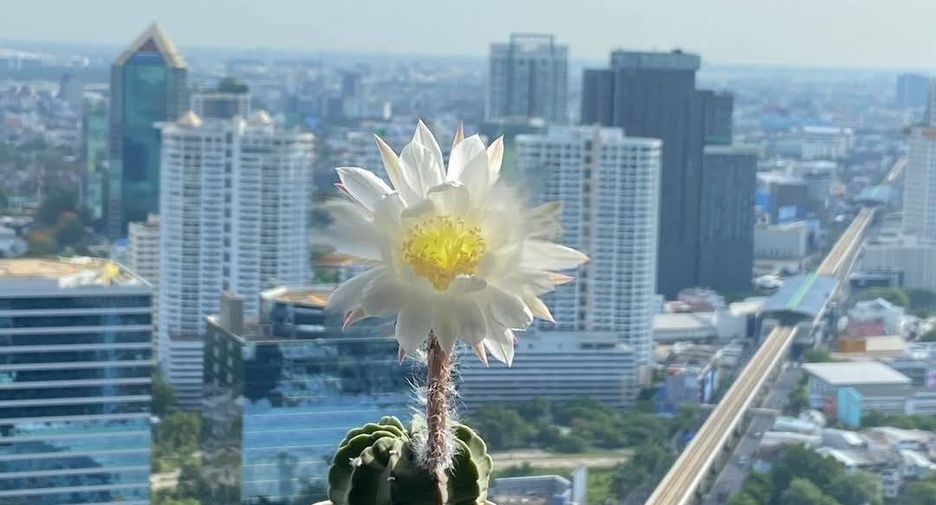 For sale 2 bedrooms condo in Chatuchak, Bangkok