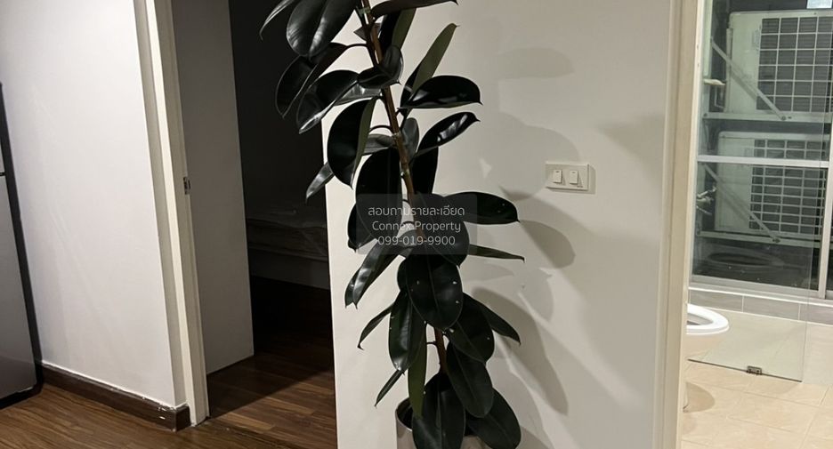 Condo en venta de 2 habitaciones en Suan Luang, Bangkok