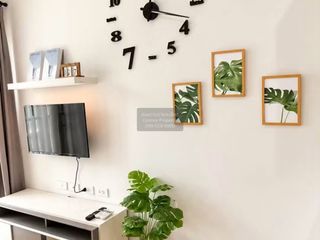 Wohnung zur Miete mit 1 Zimmer in Mueang Phuket, Phuket