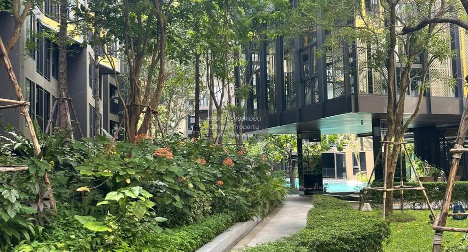 Wohnung zur Miete mit 1 Zimmer in Mueang Phuket, Phuket