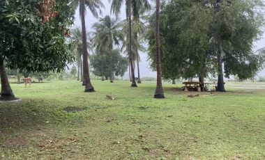 Terreno en venta en Sam Roi Yot, Prachuap Khiri Khan