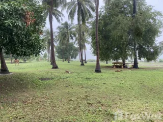 For sale land in Sam Roi Yot, Prachuap Khiri Khan