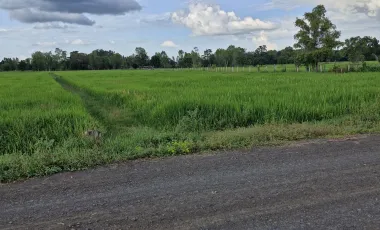 出售 土地 在 Mueang Buri Ram, Buri Ram