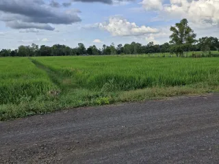 For sale land in Mueang Buriram, Buriram