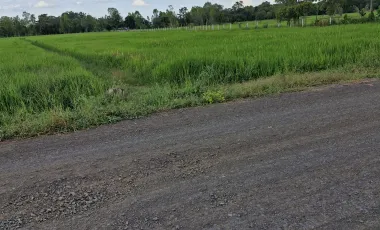 出售 土地 在 Mueang Buri Ram, Buri Ram