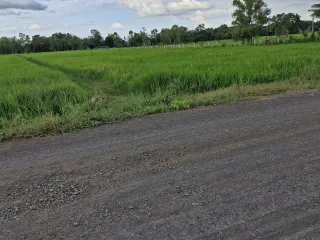 For sale land in Mueang Buriram, Buriram