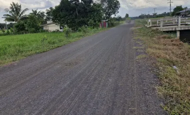 出售 土地 在 Mueang Buri Ram, Buri Ram