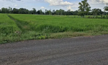出售 土地 在 Mueang Buri Ram, Buri Ram