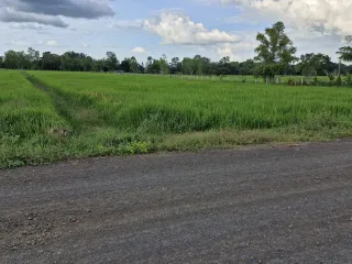 For sale land in Mueang Buriram, Buriram