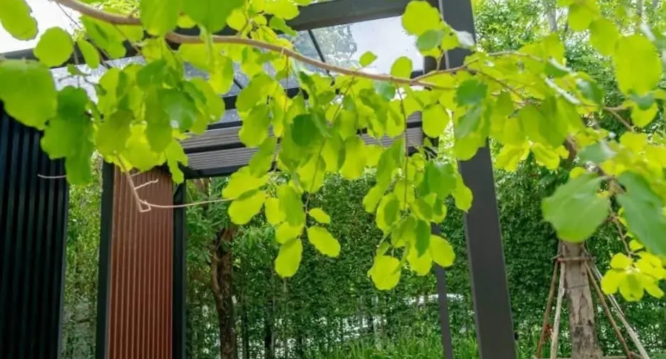 Haus zur Miete mit 5 Zimmer in Saphan Sung, Bangkok