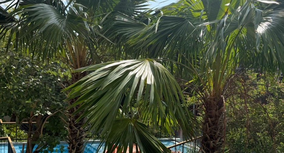 For sale and for rent 2 bedrooms condo in Hua Hin, Prachuap Khiri Khan