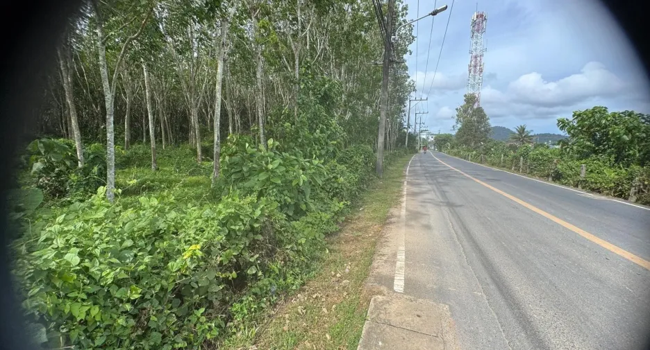 Grundstück zum Kauf in Thalang, Phuket
