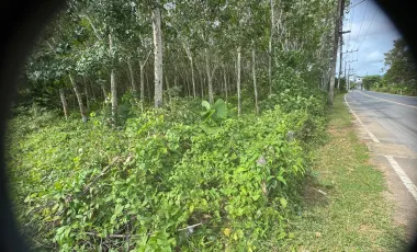 Grundstück zum Kauf in Thalang, Phuket