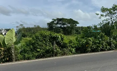 Grundstück zum Kauf in Thalang, Phuket
