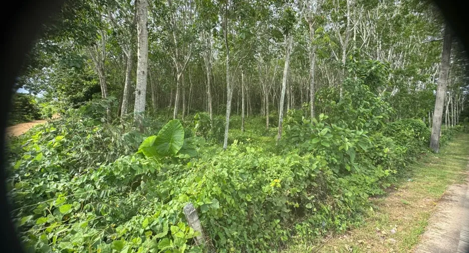 Grundstück zum Kauf in Thalang, Phuket