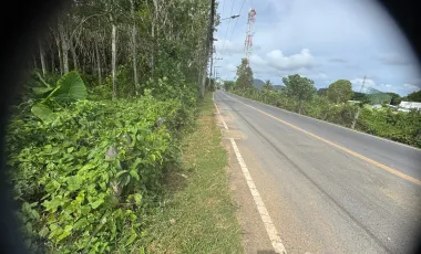 Grundstück zum Kauf in Thalang, Phuket