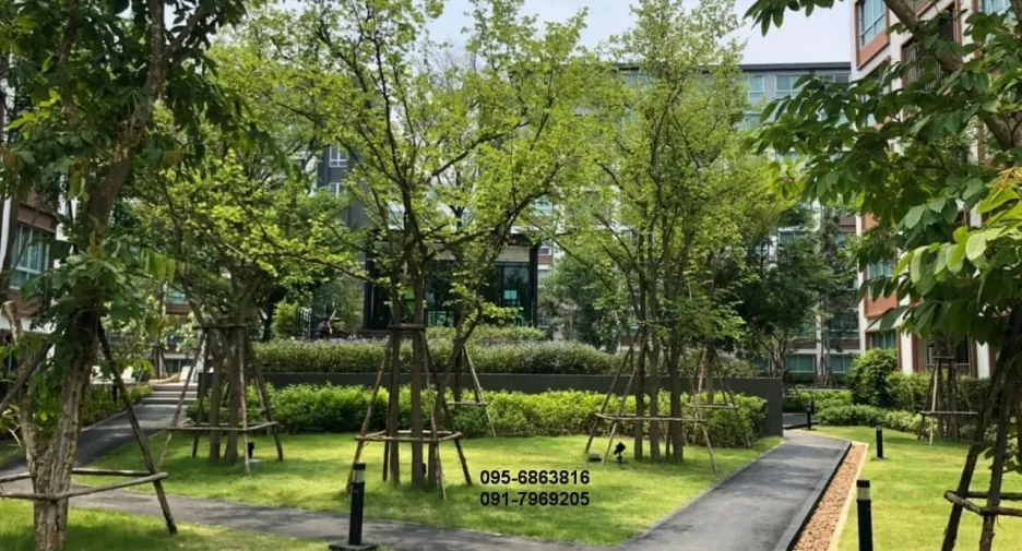 For rent 1 Beds condo in Mueang Chiang Mai, Chiang Mai