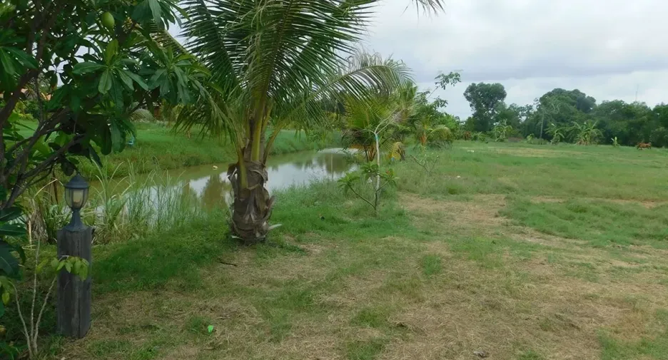 For sale land in Mueang Rayong, Rayong