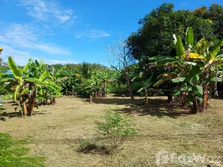 For sale land in Mueang Rayong, Rayong