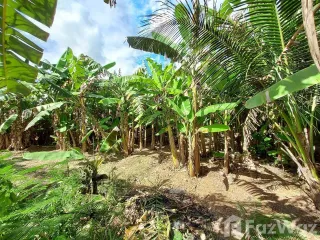 For sale land in Mueang Rayong, Rayong