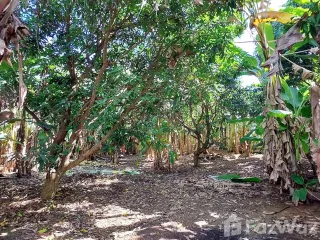 For sale land in Mueang Rayong, Rayong