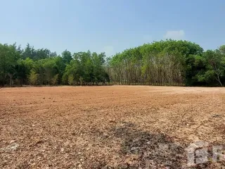 For sale land in Klaeng, Rayong