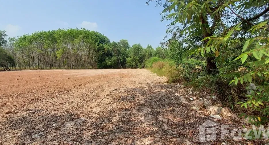 For sale land in Klaeng, Rayong
