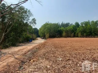 For sale land in Klaeng, Rayong