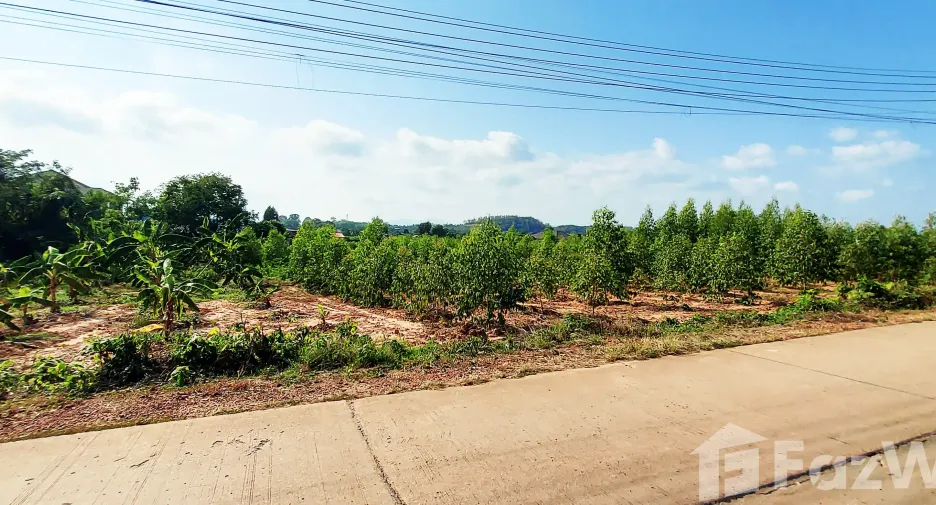 For sale land in Klaeng, Rayong