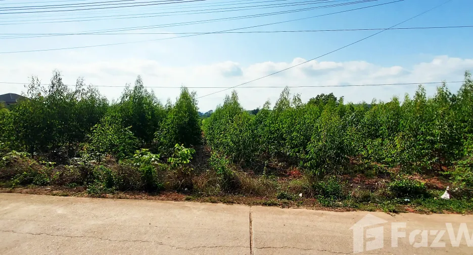 For sale land in Klaeng, Rayong