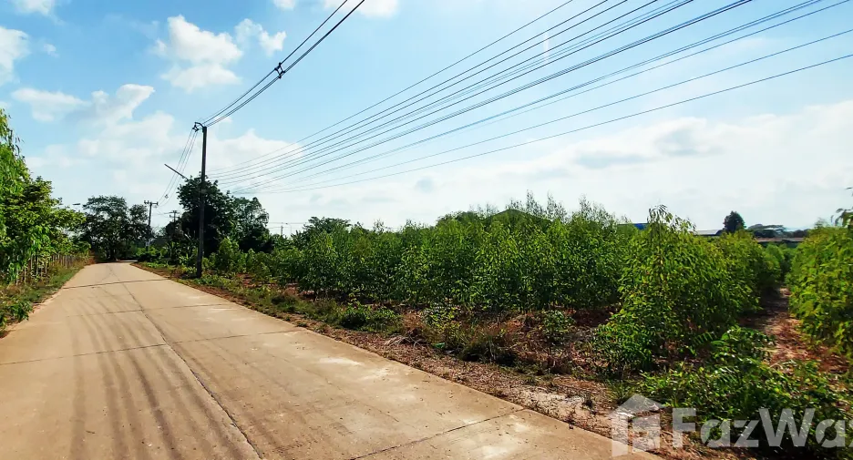 For sale land in Klaeng, Rayong
