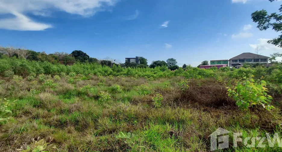 For sale land in Klaeng, Rayong