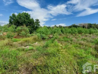 For sale land in Klaeng, Rayong