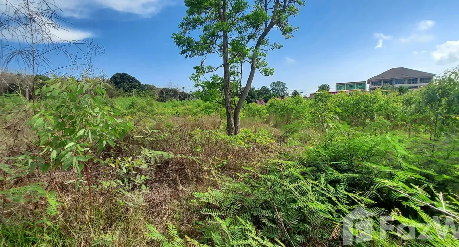 For sale land in Klaeng, Rayong