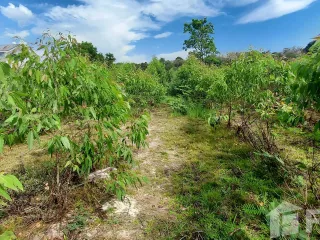 For sale land in Klaeng, Rayong