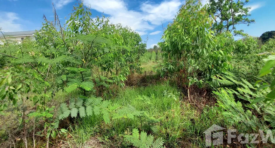For sale land in Klaeng, Rayong