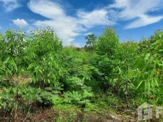 For sale land in Klaeng, Rayong
