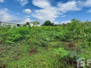For sale land in Klaeng, Rayong