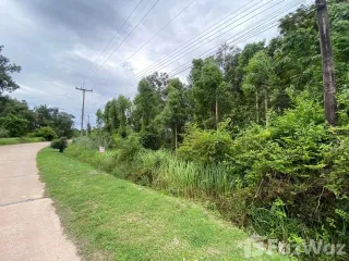 For sale land in Klaeng, Rayong