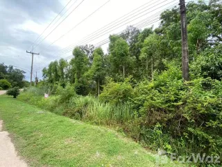 For sale land in Klaeng, Rayong
