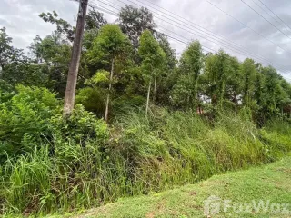 For sale land in Klaeng, Rayong