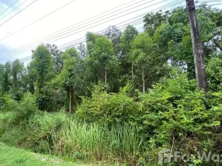 For sale land in Klaeng, Rayong