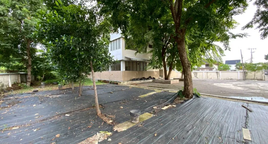 À vendre et à louer 12 chambres maison à Bang Na, Bangkok
